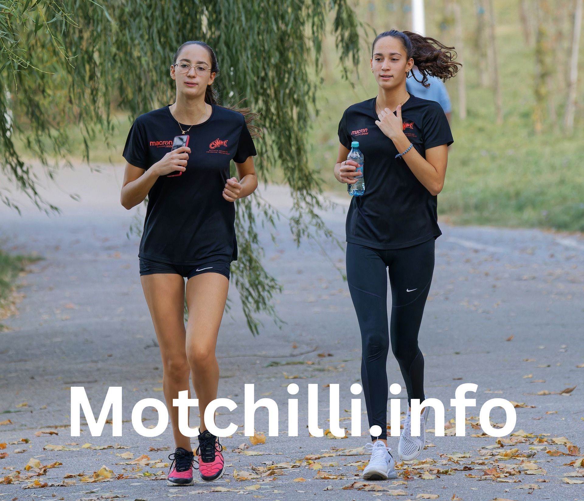 Motchilli.info