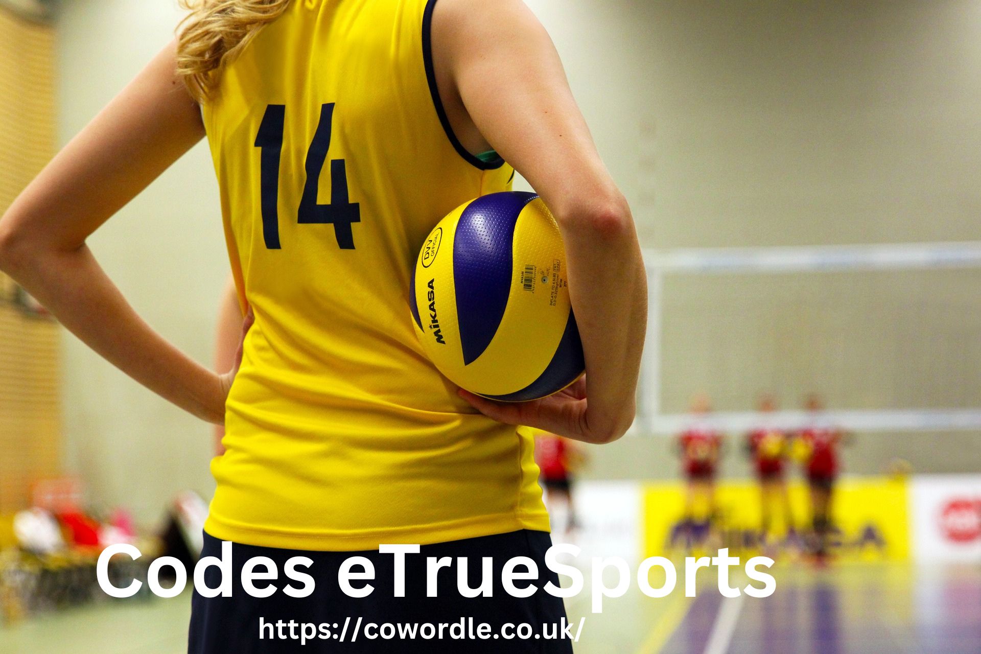 Codes eTrueSports