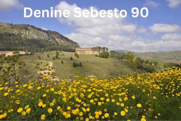 Denine Sebesto 90