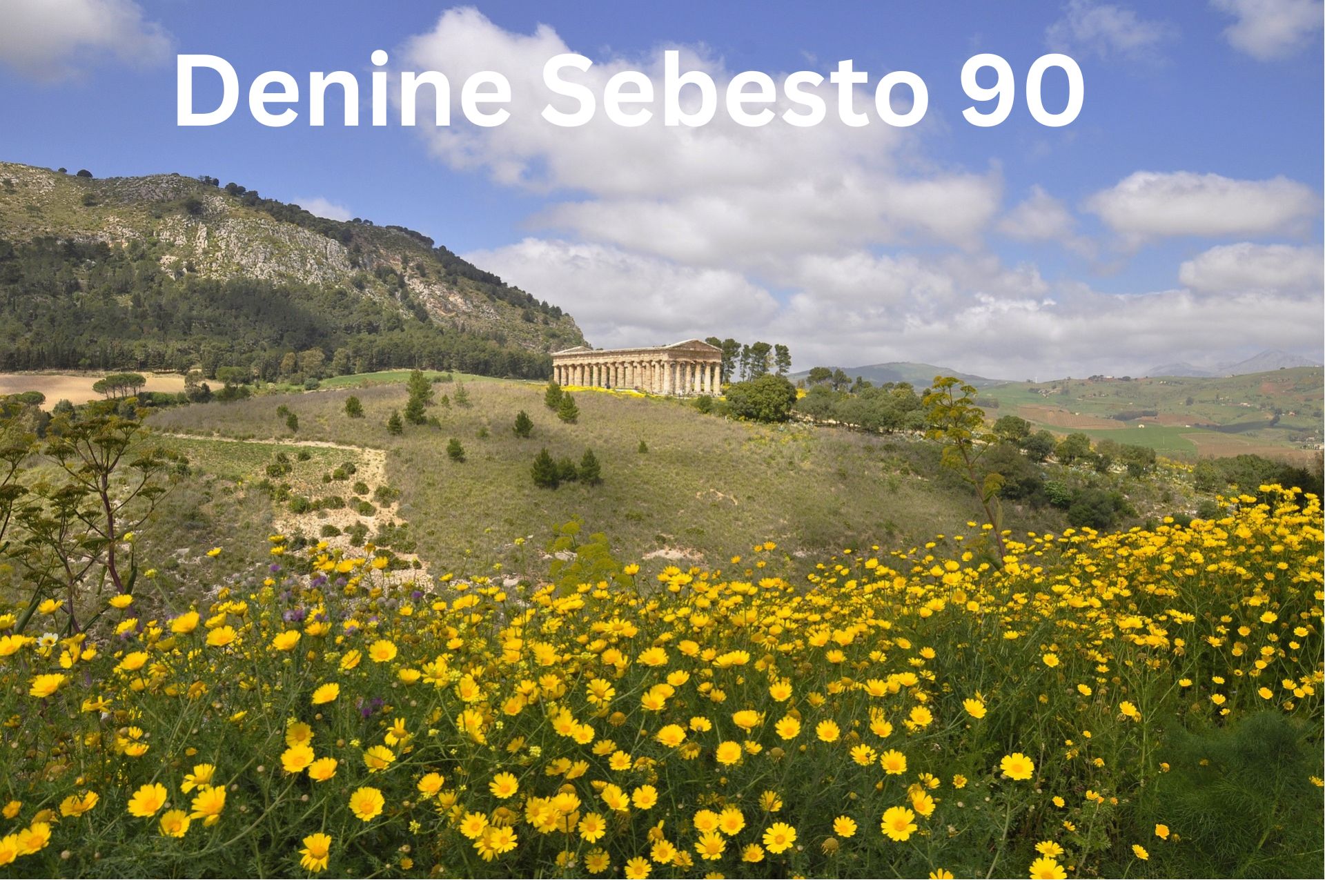 Denine Sebesto 90