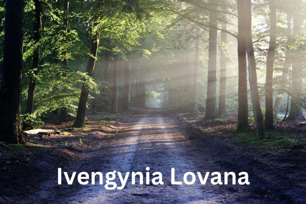 Ivengynia Lovana