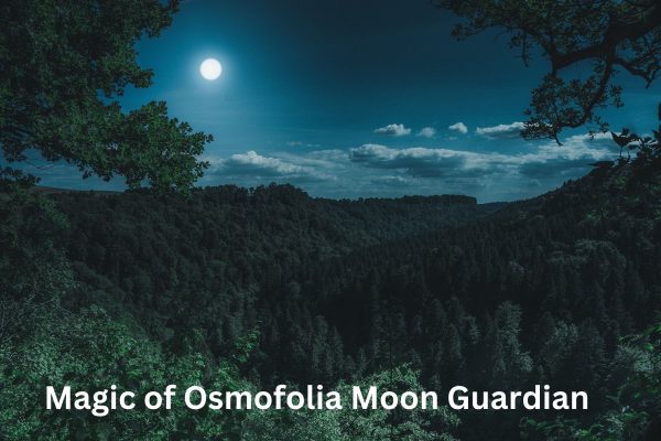 Magic of Osmofolia Moon Guardian