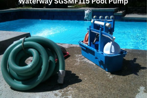 Waterway SGSMF115 Pool Pump