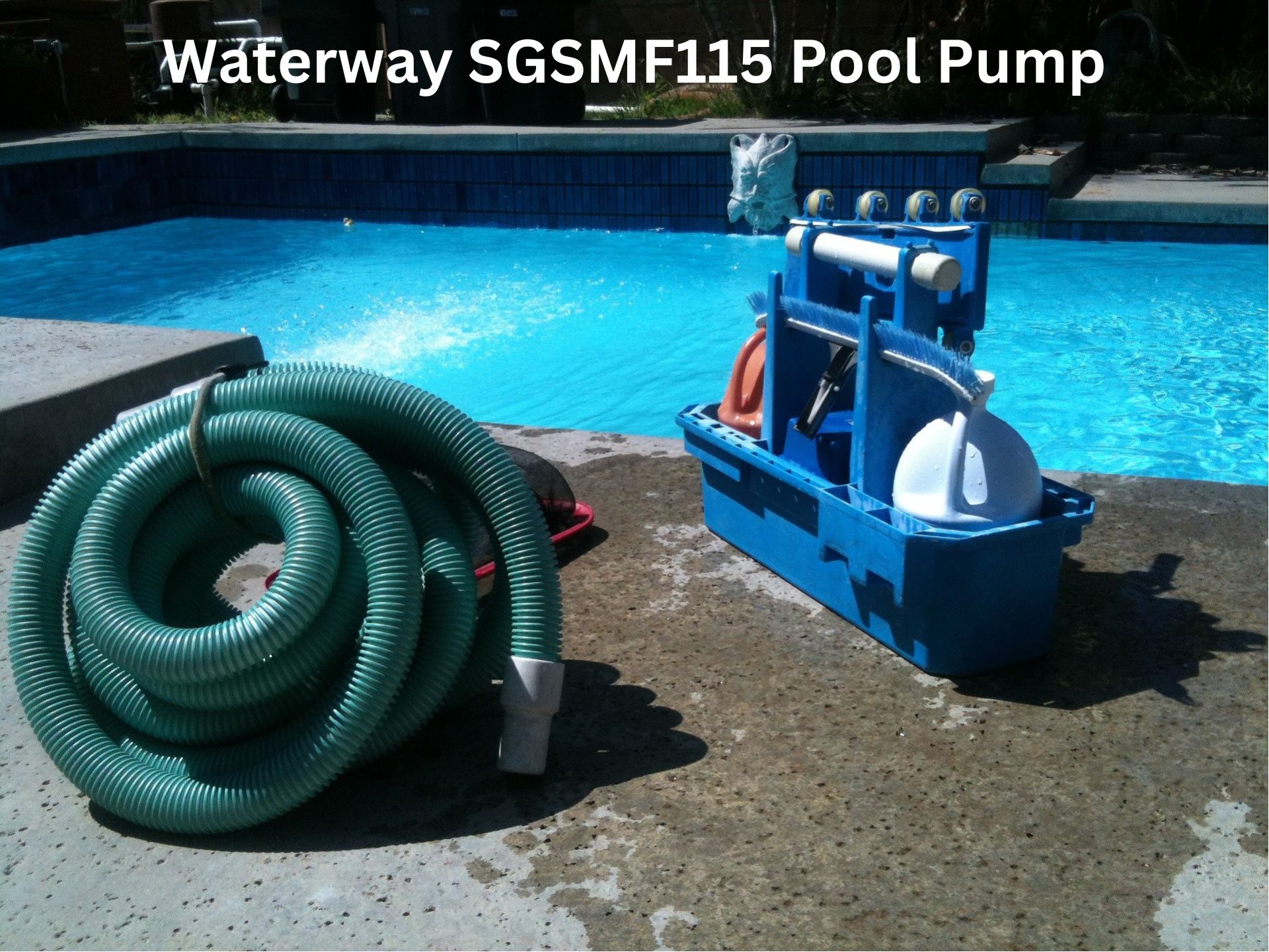 Waterway SGSMF115 Pool Pump